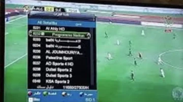 بأحدث إشارة.. تردد قناة الجزائرية الأرضية لمتابعة مباريات كأس الأمم الإفريقية